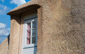 Tyrie thatch roof disadvantages